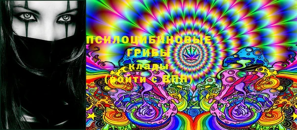 PSILOCYBIN Балахна
