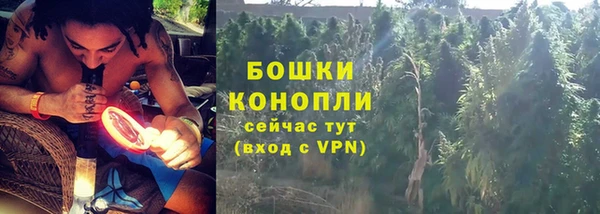 PSILOCYBIN Балахна
